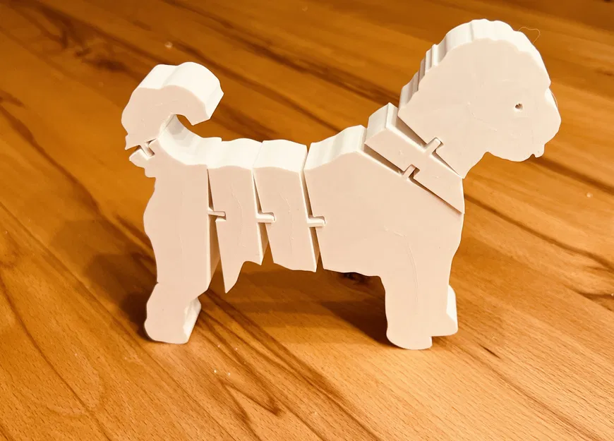 Labradoodle Co Giãn - Mô Hình 3D - Image 1