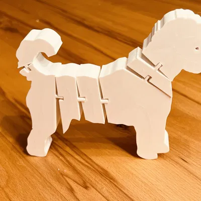 Labradoodle Co Giãn - Mô Hình 3D