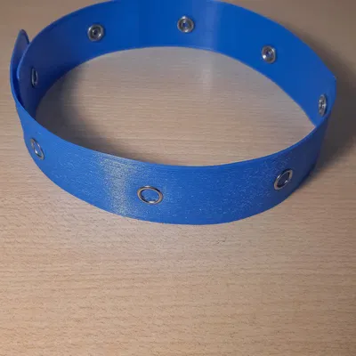 Vòng Cổ Sipikes Với Gai Có Thể Thay Thế