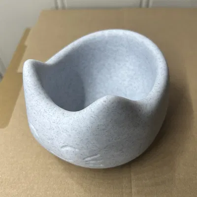 Bát Ăn Mèo Dễ Thương - Thêm Không Gian, Bớt Dính Mũi