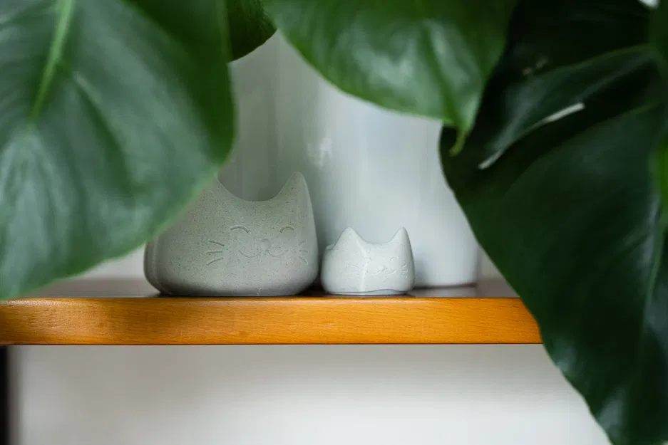 Chén Mèo Dễ Thương - Image 3