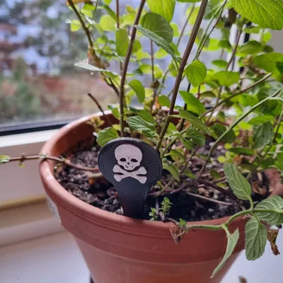 Cọc Đánh Dấu Cây Độc