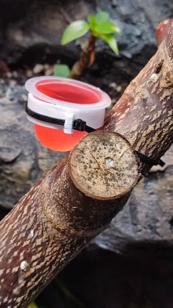 Chỗ gắn bình thức ăn cho thằn lằn trong terrarium - Image 1