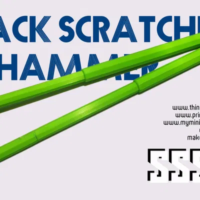 Cây Gãi Lưng & Đập Lưng Đa Năng (05)