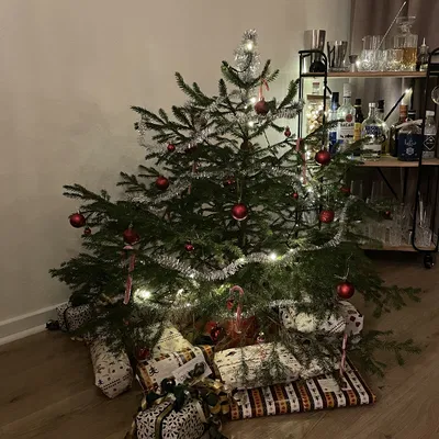 Chân Đế Cây Thông Noel Sang Trọng