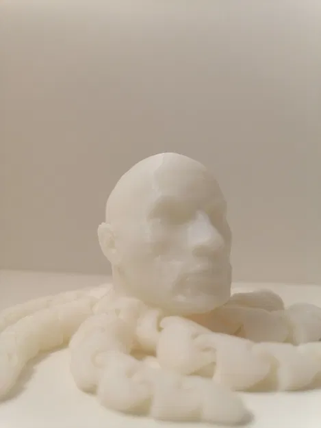 Rocktopus - Con bạch tuộc đá phiên bản Dwayne "The Rock" Johnson - Image 1