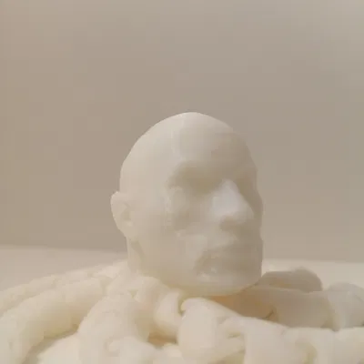 Rocktopus - Con bạch tuộc đá phiên bản Dwayne "The Rock" Johnson