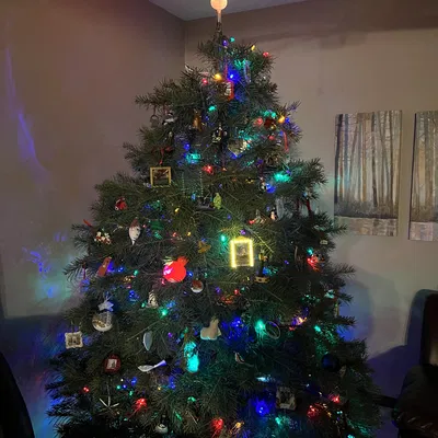 Chóp cây thông Noel có Circuit Playground Express