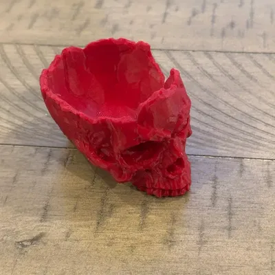 Tô Đầu Lâu Low Poly