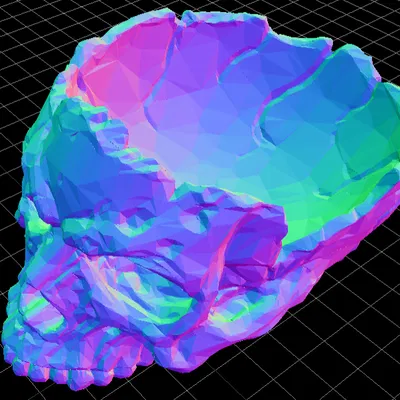 Tô Đầu Lâu Low Poly