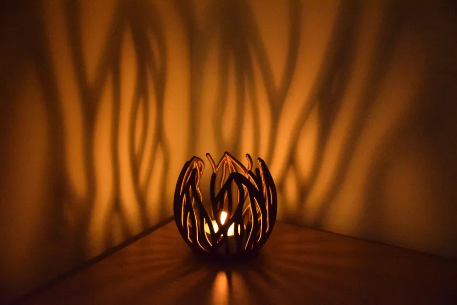 Hoa Đom Đóm (Chân nến tealight - Sinh trưởng theo quy trình) - Image 1