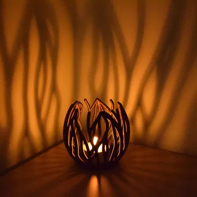 Hoa Đom Đóm (Chân nến tealight - Sinh trưởng theo quy trình)