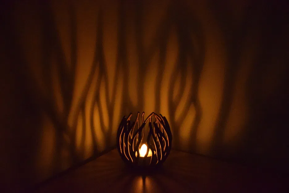 Hoa Đom Đóm (Chân nến tealight - Sinh trưởng theo quy trình) - Image 2