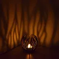 Hoa Đom Đóm (Chân nến tealight - Sinh trưởng theo quy trình) - Thumbnail 2