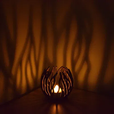 Hoa Đom Đóm (Chân nến tealight - Sinh trưởng theo quy trình)