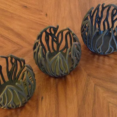 Hoa Đom Đóm (Chân nến tealight - Sinh trưởng theo quy trình)