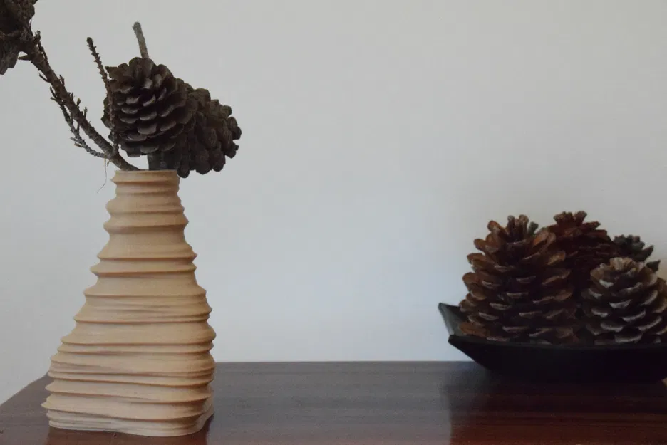 Bình Igneous Brim (Vase) - Image 2