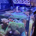 Bộ làm mát bể cá/thủy sinh dạng module siêu êm - Thumbnail 2