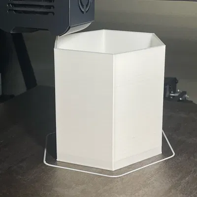 Chậu Hoa Lục Giác Đơn Giản