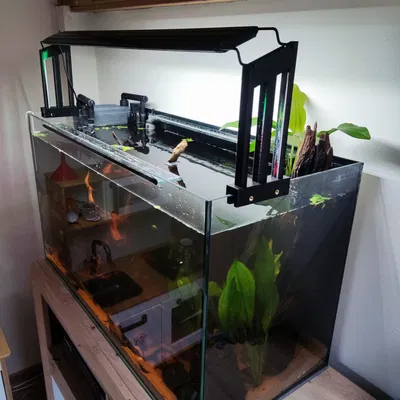 Đế gắn đèn LED cho hồ cá