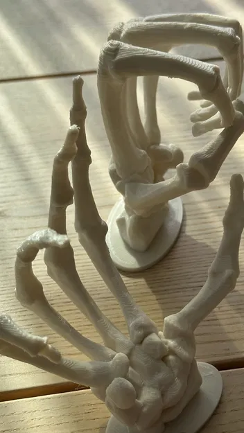 Bộ Tay Bộ Xương - Trang Trí Bàn/Tường - Image 1