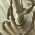 Bộ Tay Bộ Xương - Trang Trí Bàn/Tường - Thumbnail 1