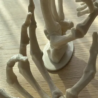 Bộ Tay Bộ Xương - Trang Trí Bàn/Tường