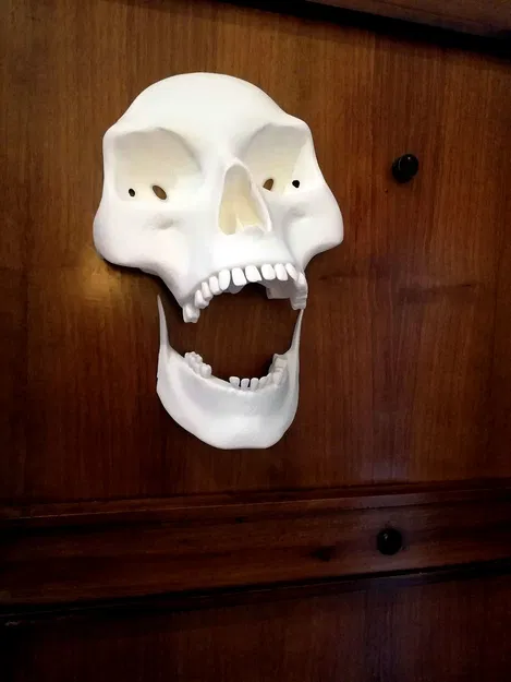 Xương khô đang tới! - Image 1