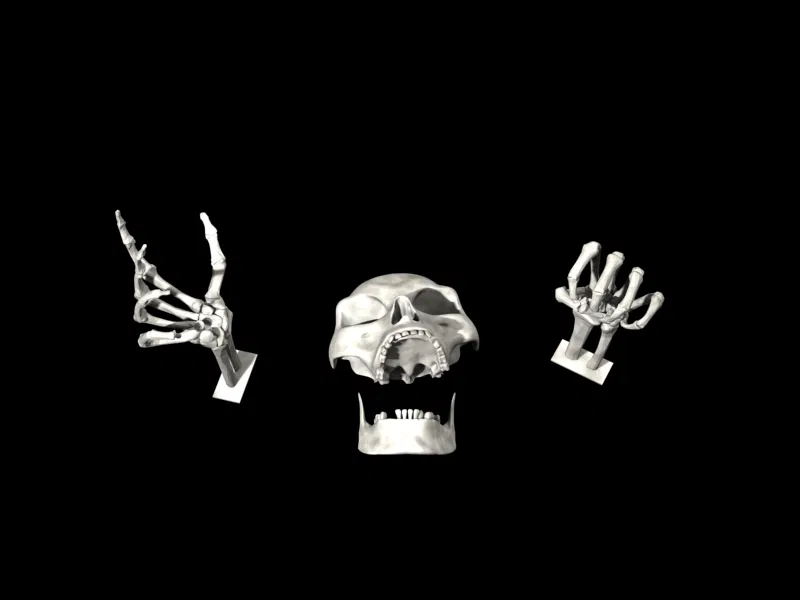 Xương khô đang tới! - Image 3