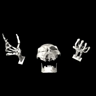 Xương khô đang tới!