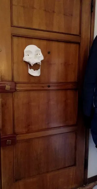 Xương khô đang tới! - Image 4