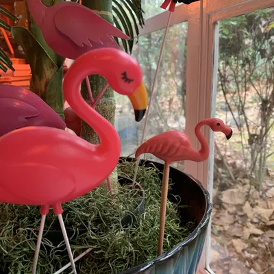 Mô hình chim Hồng Hạc remix bởi Angelo Santarella/asdesign