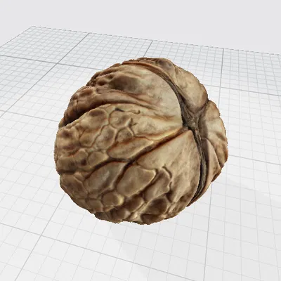 Ảnh scan 3D quả óc chó