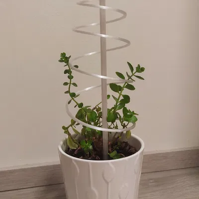 Chân Chống Cây Dạng Xoắn Ốc (In Phẳng)