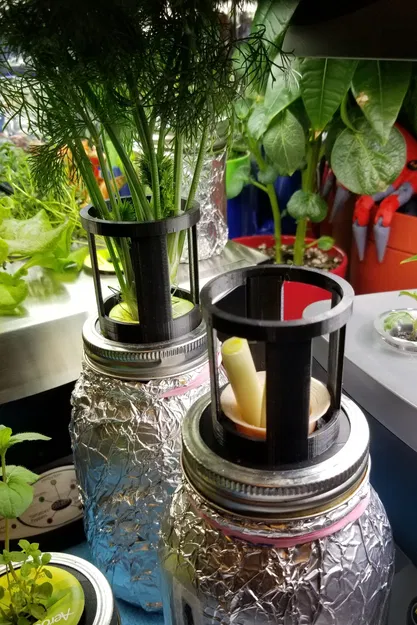 AeroJar có đế đỡ cây - Image 1