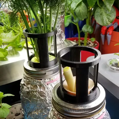 AeroJar có đế đỡ cây