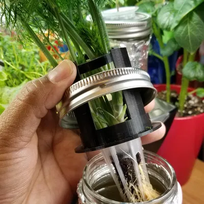 AeroJar có đế đỡ cây