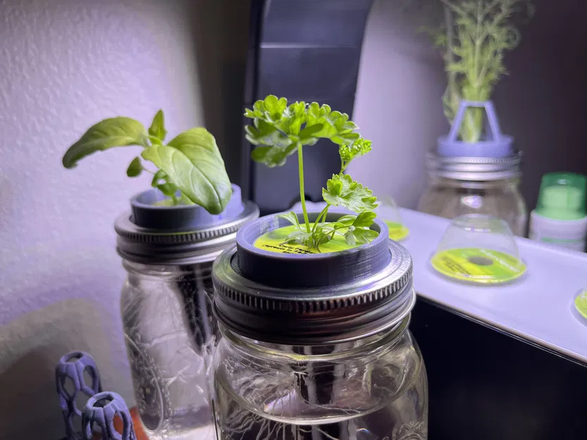 AeroJar (Không Có Giá Đỡ Cây) - Image 1