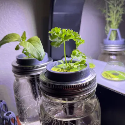 AeroJar (Không Có Giá Đỡ Cây)