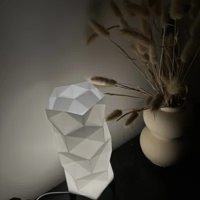 Bộ Đèn LED Chụp Đèn Creality