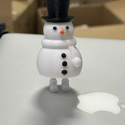 Người Tuyết Có Giày (In Liền)