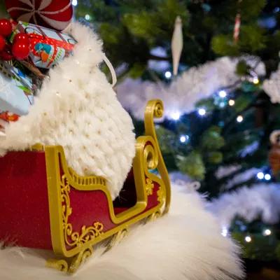 Xe trượt tuyết Santa có phong cách - KHÔNG cần đế đỡ