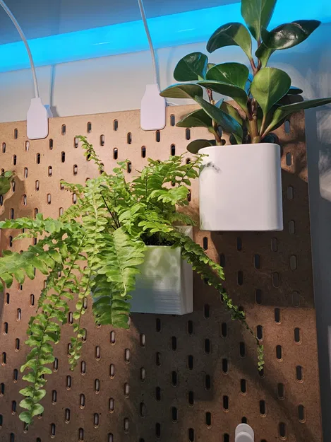 Chậu Cắm Ikea Skadis Plant Painting - Image 2