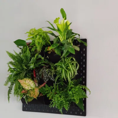 Chậu cây treo tường Ikea Skadis