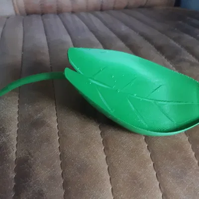 Phễu tưới cây hình lá