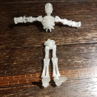 Bộ xương Flexi làm móc khóa