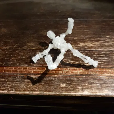 Bộ xương Flexi làm móc khóa