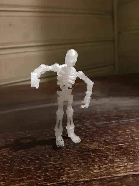 Bộ xương Flexi làm móc khóa - Image 5