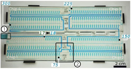 Chip vi lỏng cho phép thả 300 giọt tuần tự - Image 1