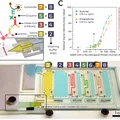 Xét nghiệm kháng thể COVID-19 trên chip bằng phản ứng dây chuyền vi lỏng - Thumbnail 1